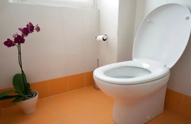 WC Mampet Bikin Panik? Ini Solusi Sedot WC Terdekat Kelapa Gading